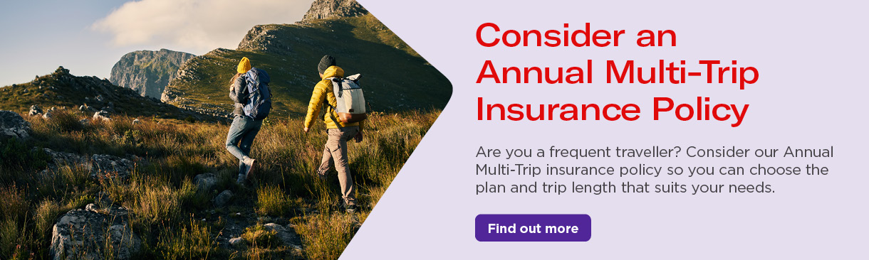 Annual Multi-trip Banner Annual Multi-trip Banner